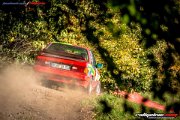 50.-nibelungenring-rallye-2017-rallyelive.com-0681.jpg